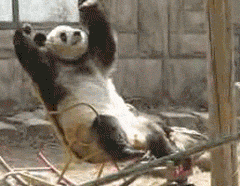 eb5b6484gw1ewn0i9gvqsg206o056dyi.gif
