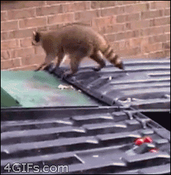a180de74gw1e6s7q45f2og206y074x6p.gif
