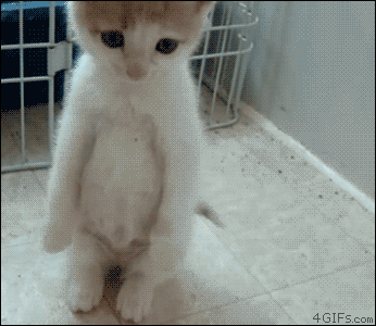 717e3b0djw1e7kr52ux16g209m08c7we.gif