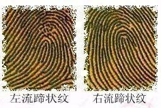 4e51fa464f2647b.jpg