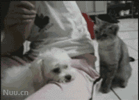 88100940gw1e630x06ikmg205k040tzh.gif