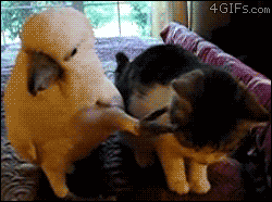 b0cb01d6jw1e1be5z8ry1g.gif