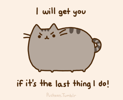 pusheen.gif