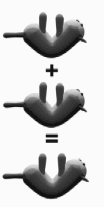 en.wikipedia.org