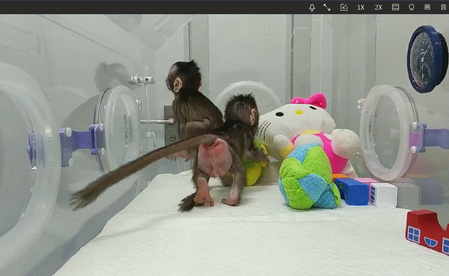 129798386_15168409697131n.gif