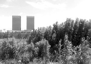 U6074P1T1D24775830F1394DT20120715041333.jpg