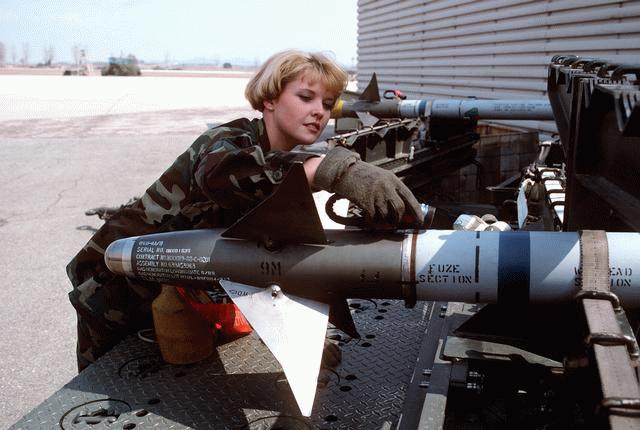 AIM-9%2Bbige.jpg