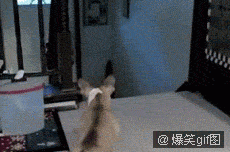 62faf073jw1dsjsko24fpg.gif