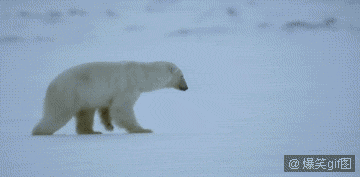 79a00895jw1dv8woqxbd1g.gif