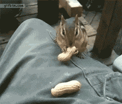 tumblr_md6lt1g9vx1r9vm7f.gif