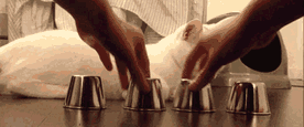 abc0dc34jw1ernm0z3ao1g207o0374d7.gif