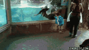 70e0a133jw1e7vos5iashg208c04pqv5.gif