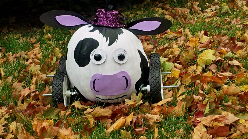 cow_derby_racer.jpg
