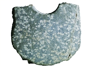 res02_attpic_brief.jpg
