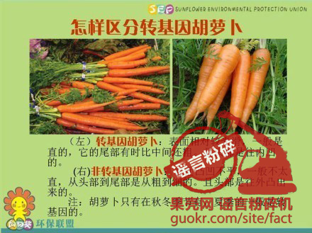 uIzqPobVpoROFjhejUYJtUIG1qsWoi-OazPBe-rtAYq4AQAASQEAAEpQ.jpg