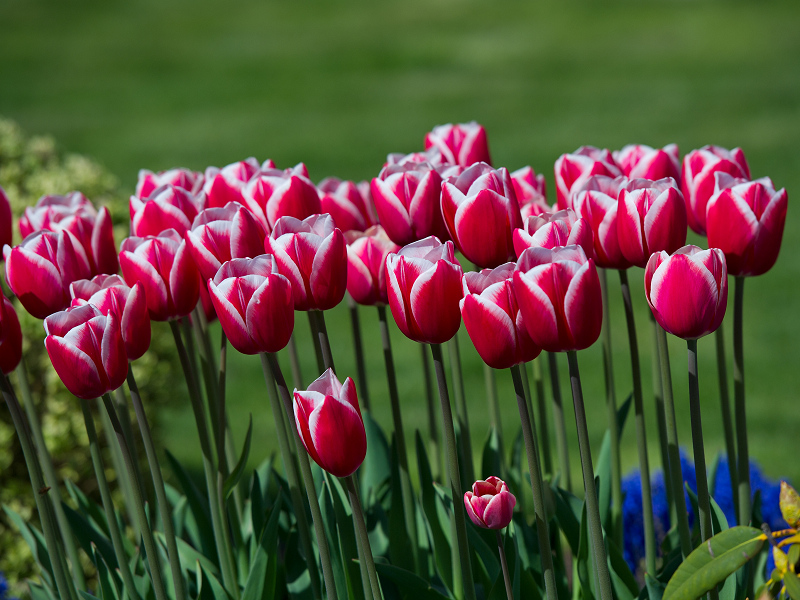 dsc_0380-ns.jpg