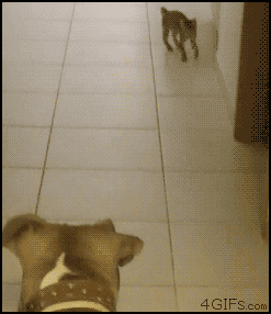 6aaeb4b8jw1dorh1a8efrg.gif