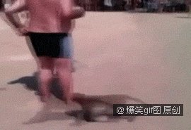 96493fa6jw1dobi9ypgzng.gif