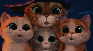 5cdf73cbtw1drlrq5r49ag.gif