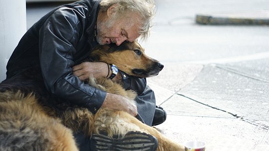 2015-01-28-Dogsofhomelessone-thumb.jpg