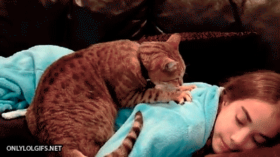 abc0dc34jw1ernm0uhat7g20b3068npd.gif