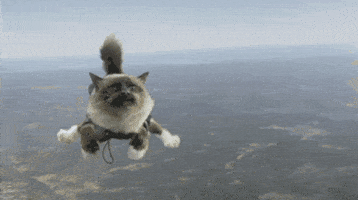 200_s.gif