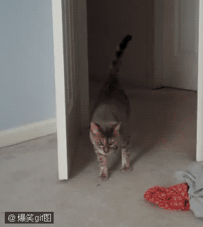 79a00895jw1dp96kbinomg.gif