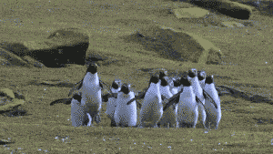 a552f1e8gw1eokz8yr3ggg208c04pdpq.gif