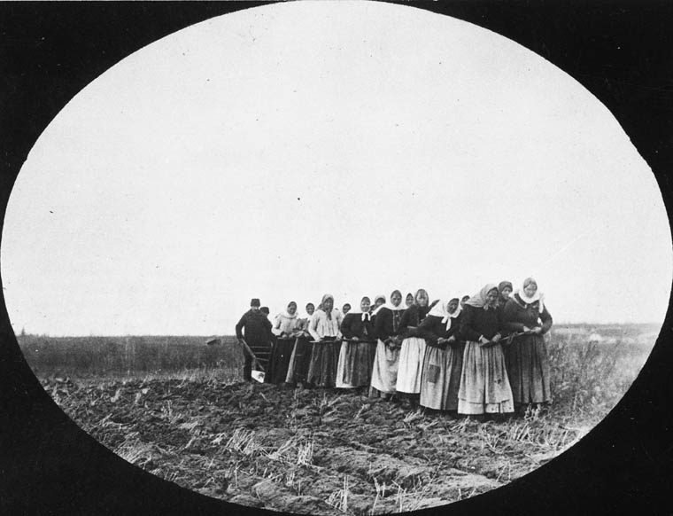 Doukhobor_women_pulling_a_plough_-_Thunder_Hill_Colony-Manitoba.jpg
