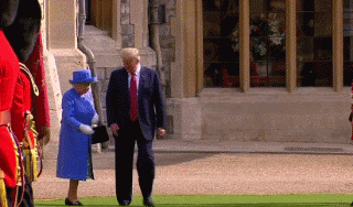 baa3a5e1781c4cdb99c3880e06423a40.gif