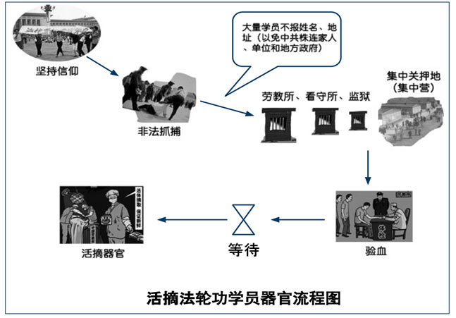 dfjxqkn7_452cjkhsbd5_b.jpg