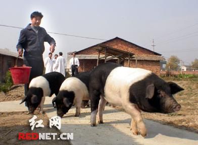 201001281110422802e.jpg