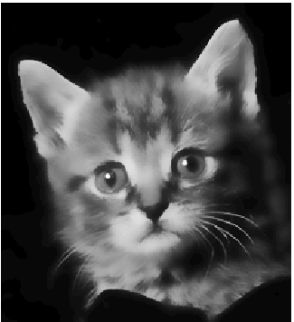 kitten-filt.gif