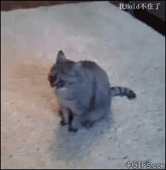 a180de74gw1e8edb0t2wmg206j06p1kx.gif