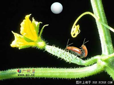 Img223899749.jpg