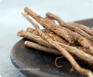 Ginseng-Chinese-Herb.jpg