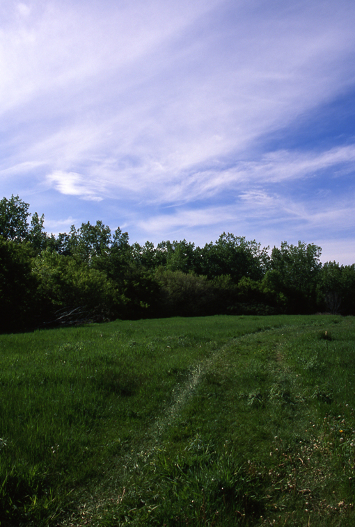 2574156645_ebec71505d_o.jpg