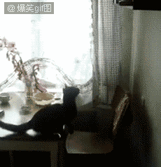 79a00895jw1dwaygkroeqg.gif