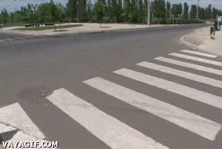 62faf073jw1dllhs0d4crg.gif
