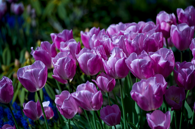dsc_0378-ns.jpg