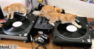 62037b5ajw1dr8eb5soarg.gif