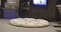 954b3b4djw1dxpcj9s8t9g.gif