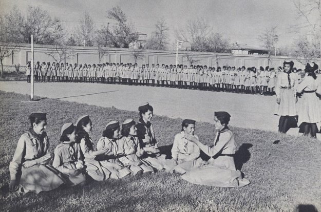 c962cb2fdf262af.jpg