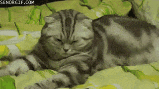 eb5b6484gw1ewn0ibc4tag208w0507wh.gif