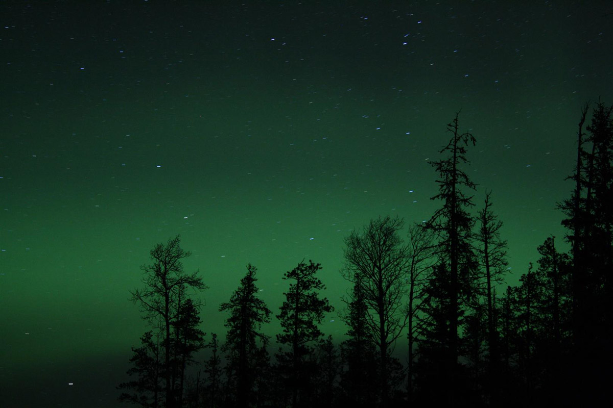 20130220_Sharman_02.jpg