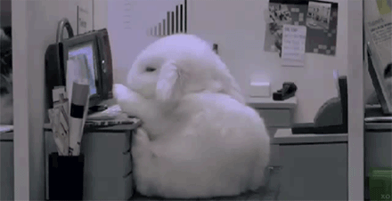 6e7992b3jw1dw17q52swcg.gif