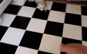 a180de74gw1e8edbir68jg208c057h1r.gif