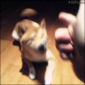 62037b5ajw1dyv0if1jg4g.gif