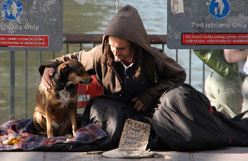 homeless-dog-13.jpg