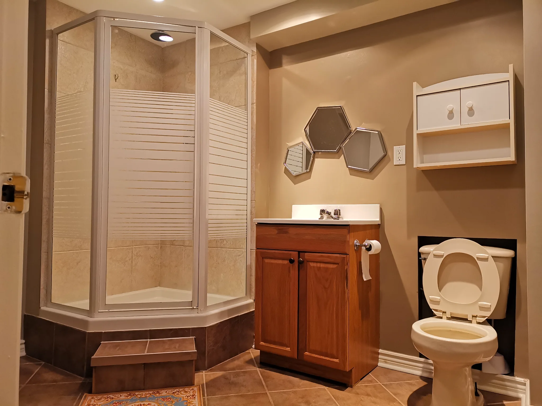 basement bathroom.webp